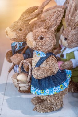 Paskalya tavşanlarının tatil geçmişi için yakın plan çekimleri.