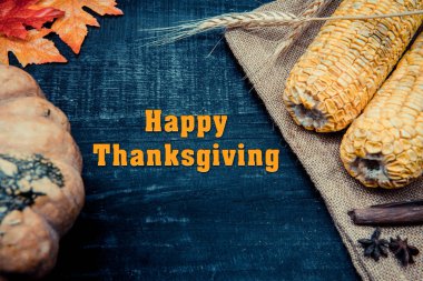 Şükran Günü için toplanan balkabaklarının yakın plan çekimleri.