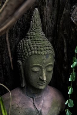 Buda 'nın heykeli. Budist 'in saygısını..