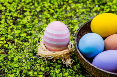 Paskalya kutlaması konsepti için paskalya yumurtalarının yakın plan çekimi.