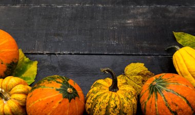 Sonbahar hasat kornucopiası. Meyve ve sebzeli sonbahar mevsimi. Metin için alanı kopyala.