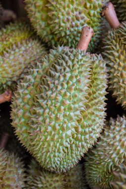 Taze Durian çiftliğinde, Tay Kralı meyvesi