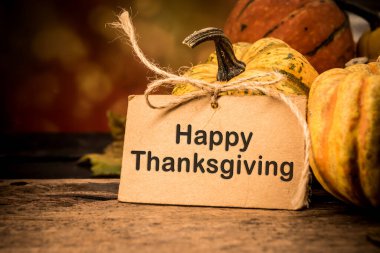 Şükran Günü için toplanan balkabaklarının yakın plan çekimleri.