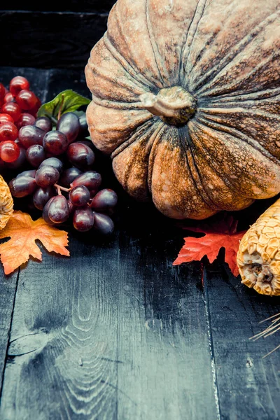 Close Shot Van Geoogste Pompoenen Voor Thanksgiving Dag Achtergrond — Stockfoto