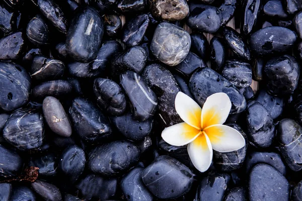 Taş zemin ve doku üzerinde taze çiçek