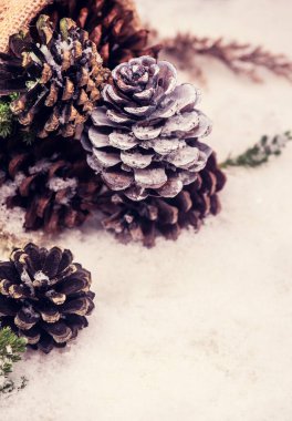 Mutlu Noeller ve mutlu yıllar, kar ve metin için fotokopi alanı olan kış mevsimi