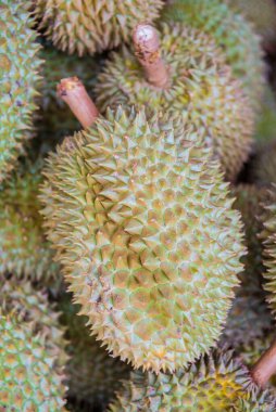 Taze Durian çiftliğinde, Tay Kralı meyvesi