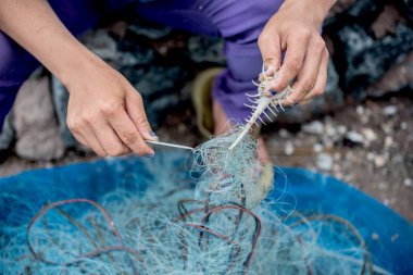 Limanda çalışan balıkçılar, limanda taze deniz ürünleri.