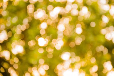 bokeh, ışık ve soyut bulanık arkaplan