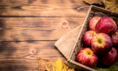 Fall harvest cornucopia. Red apples in the garden. Copy space on wood background in Autumn season. clipart