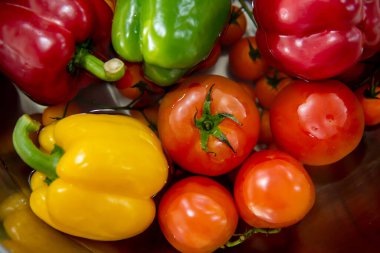 Diyet yemek pişirmek için renkli taze organik sebzeler. Sonbahar hasadı cornucopia
