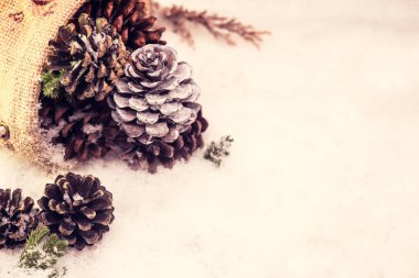 Mutlu Noeller ve mutlu yıllar, kar ve metin için fotokopi alanı olan kış mevsimi