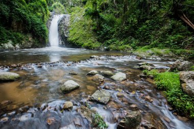 Kuzey Tayland 'daki ormanda gezici şelale.