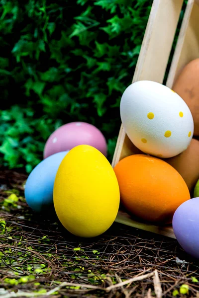 Close Shot Easter Eggs Easter Celebration Concept Background — Stock Photo, Image