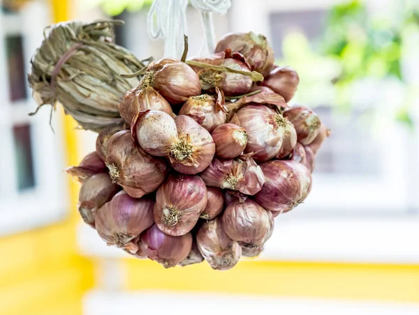 Red Onion Ingredient Cook Thaifood — Stock Photo, Image