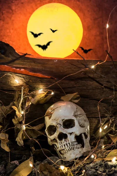 Koponya Ijesztő Jelenet Halloweenkor — Stock Fotó