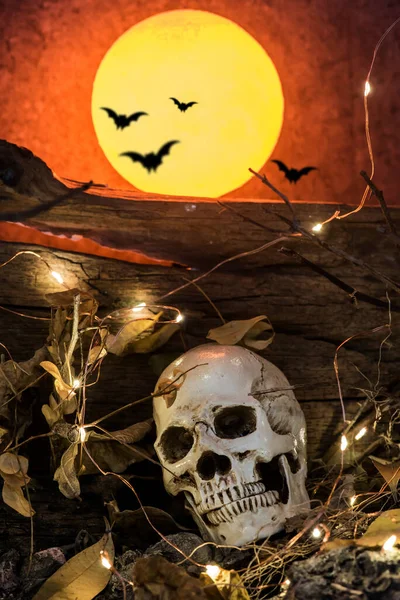 Skalle Och Skrämmande Scen För Halloween — Stockfoto