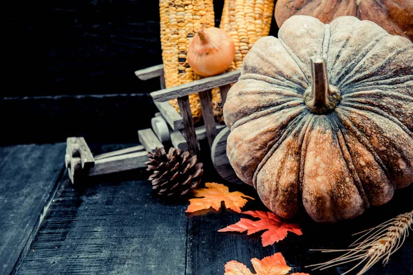 Close Shot Van Geoogste Pompoenen Voor Thanksgiving Dag Achtergrond — Stockfoto