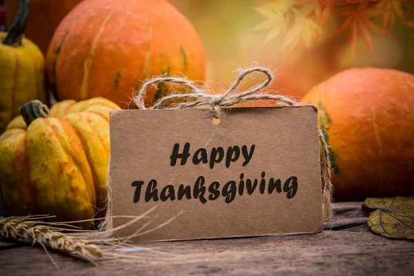 Close Shot Harvested Pumpkins Thanksgiving Day Background — Stock Photo, Image