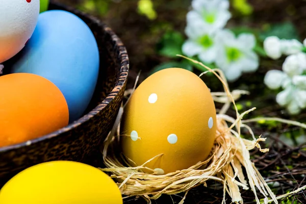 Primer Plano Huevos Pascua Para Celebración Pascua Concepto Fondo —  Fotos de Stock