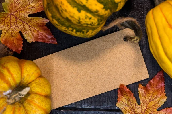 秋のシーズンに秋のショッピング販売促進 収穫コーヌコピア背景と割引率のためのスペースをコピー — ストック写真