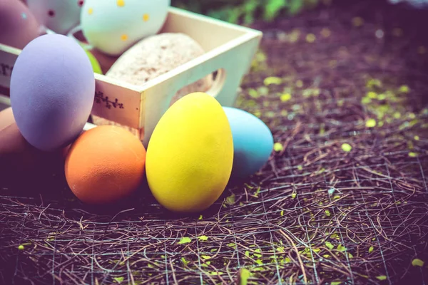 Primer Plano Huevos Pascua Para Celebración Pascua Concepto Fondo —  Fotos de Stock