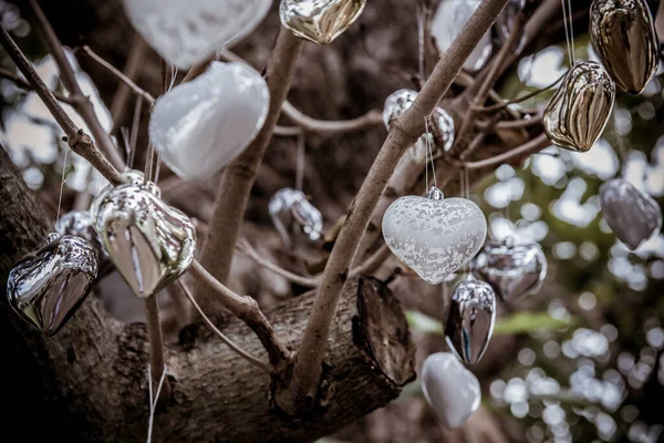 close-up shot of heart shaped decorations hanging on tree in colors of sepia, Valentines day concept