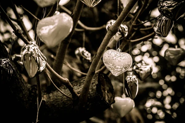 Nahaufnahme Herzförmiger Dekorationen Die Sepia Farben Baum Hängen Valentinstag Konzept — Stockfoto