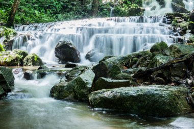 Tayland 'ın kuzeyindeki ormanda gezici şelale.