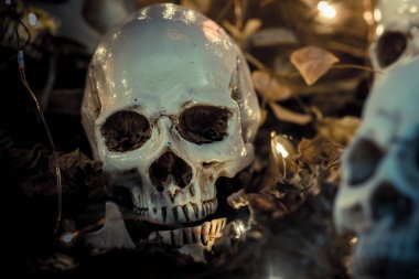 Cadılar Bayramı için kafatası ve korkunç sahne