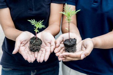 Dünya 'yı kurtarmak ağaç ve çevre konseptiyle hayat kurtarmak.