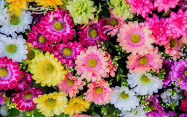 Bahçede çiçek açan