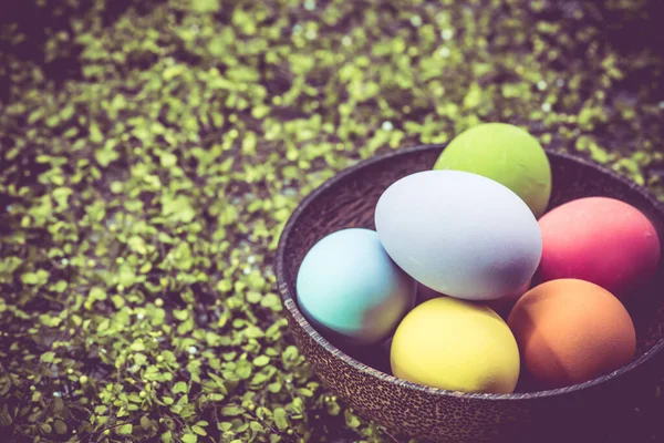 Primer Plano Los Huevos Pascua Césped Verde Para Celebración Pascua —  Fotos de Stock