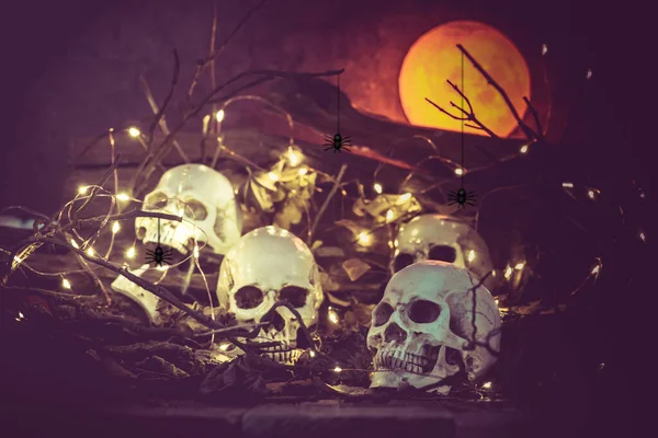 Caveira Cena Assustadora Para Halloween — Fotografia de Stock