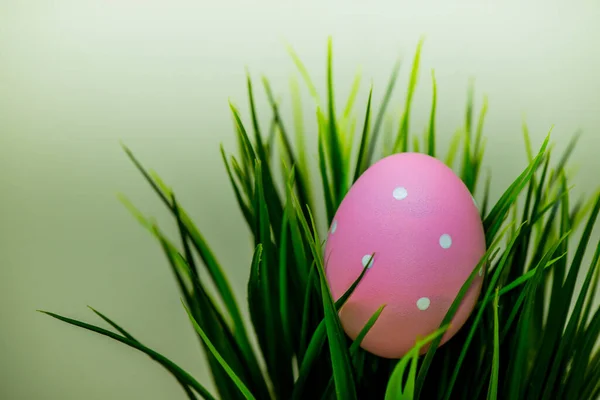 Close Shot Easter Egg Grass Easter Celebration Concept Background — Stock Photo, Image