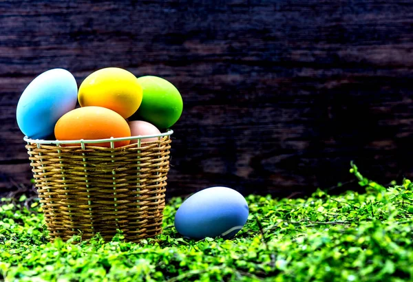 Primer Plano Huevos Pascua Para Celebración Pascua Concepto Fondo —  Fotos de Stock