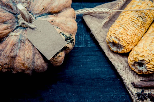 感恩节背景下的南瓜和玉米芯的特写镜头 — 图库照片