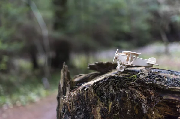 Дитячий іграшковий літак на дереві — стокове фото