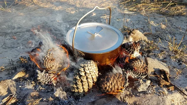 Vaisselle touristique sur les cônes de pin en feu sur la plage — Photo