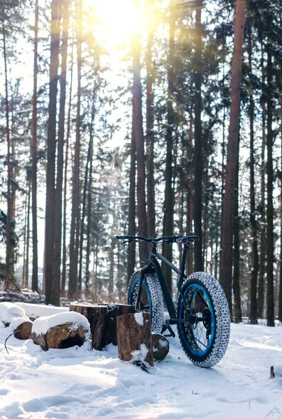 Fatbike в зимнем лесу в солнечный день — стоковое фото