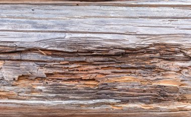 Eski ahşap doku. panoları