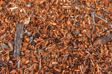 Talaş yere huş ağacı. Doku