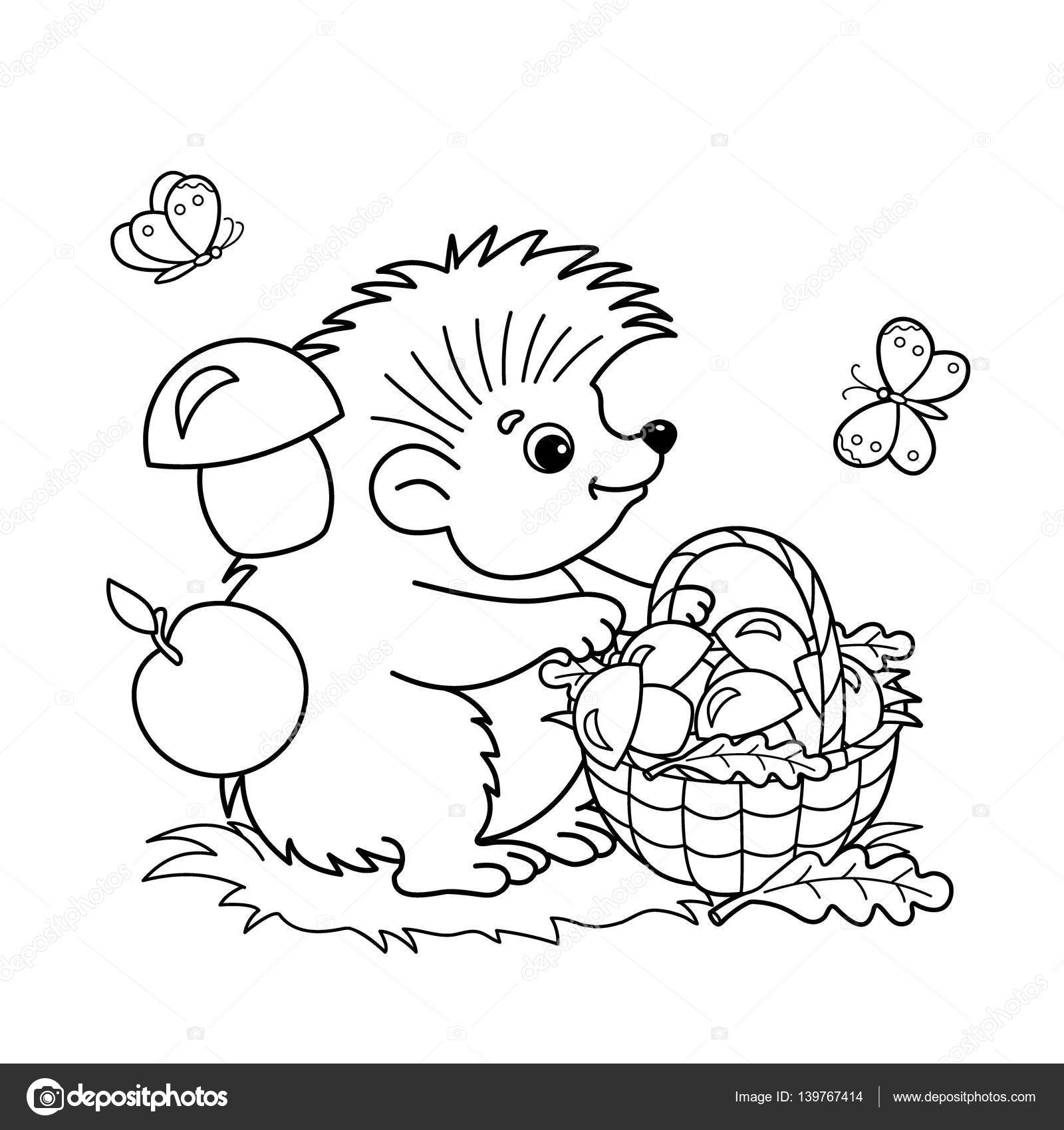 Pagina profilo di istrice del fumetto con il cestino di funghi nel prato con farfalle di coloritura Libro da colorare per bambini — Vettoriali di Oleon17