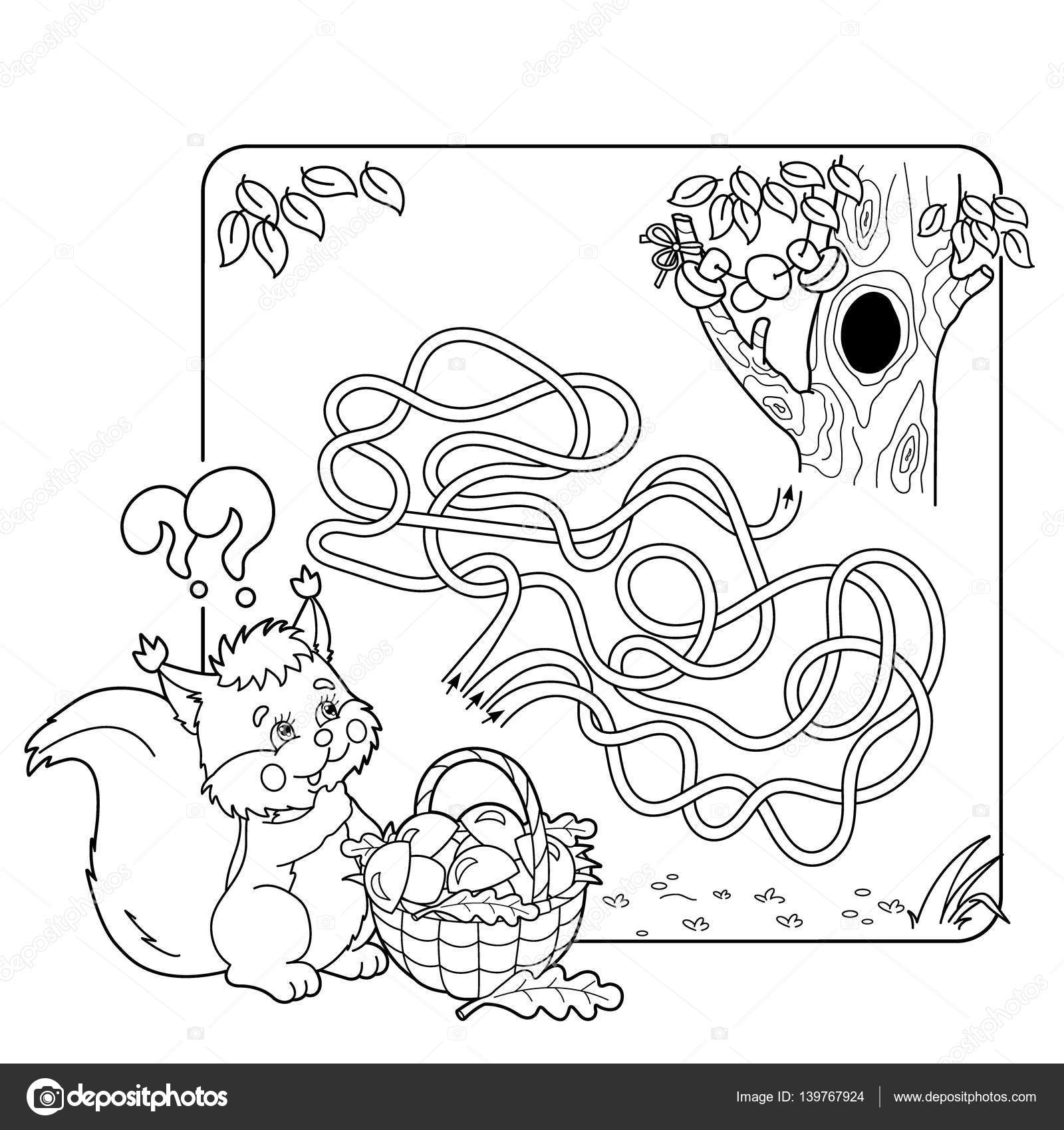 Fumetto di formazione labirinto o gioco di labirinto per bambini in et  prescolare Puzzle Aggrovigliati Road Pagina profilo di scoiattolo con il cestino