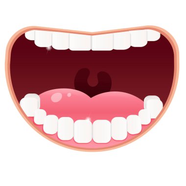 Color image of open mouth with white clean teeth on white background. Health and hygiene. Vector illustration for dentistry. clipart
