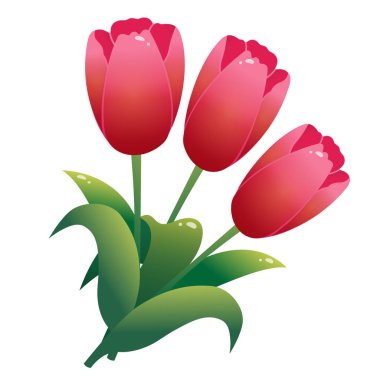 Beyaz arkaplandaki kırmızı lalelerin renkli görüntüsü. Çiçekler. Vektör illüstrasyonu.