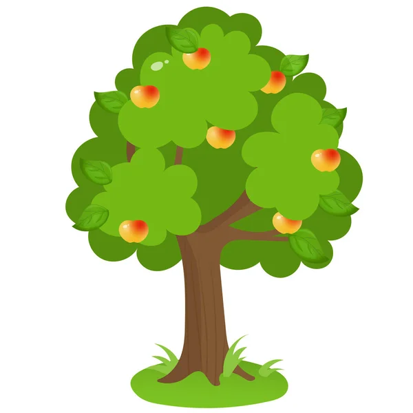 Imagen a color del manzano de dibujos animados sobre fondo blanco. Frutas y plantas. Ilustración vectorial para niños . — Vector de stock