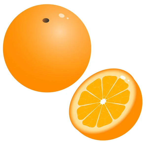 Immagine a colori di arance del fumetto su sfondo bianco. Frutta. Illustrazione vettoriale . — Vettoriale Stock