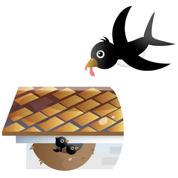 Image en couleur du nid d'hirondelle de dessin animé avec des oisillons ou des poussins sur fond blanc. Illustration vectorielle pour enfants . — Image vectorielle