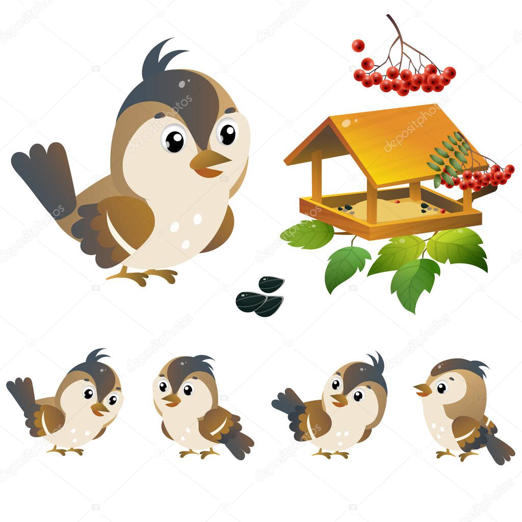 Sparrow. Color image of cartoon bird with feeder on white background. Vector illustration set for kids.